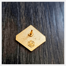 Cargar imagen en el visor de la galería, d10 "fortune teller" pin
